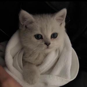 黑人一天弄我10次
